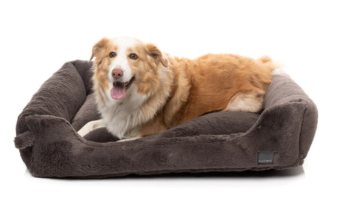 Fuzzyard Life DREAMEAZZZY Lounger Bed
