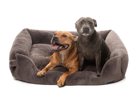 Fuzzyard Life DREAMEAZZZY Lounger Bed