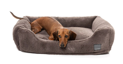 Fuzzyard Life DREAMEAZZZY Lounger Bed