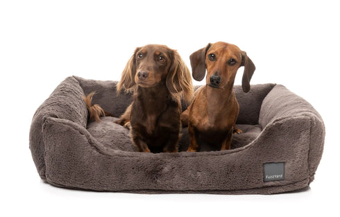 Fuzzyard Life DREAMEAZZZY Lounger Bed