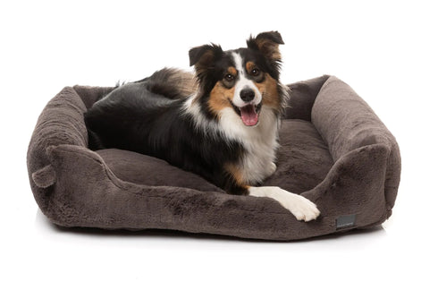 Fuzzyard Life DREAMEAZZZY Lounger Bed