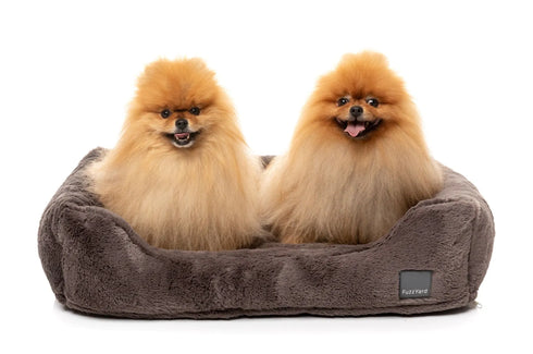 Fuzzyard Life DREAMEAZZZY Lounger Bed
