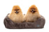 Fuzzyard Life DREAMEAZZZY Lounger Bed