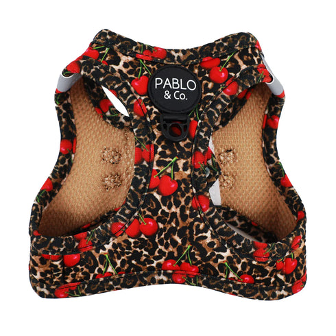 PABLO & CO. CAT STEP IN HARNESS