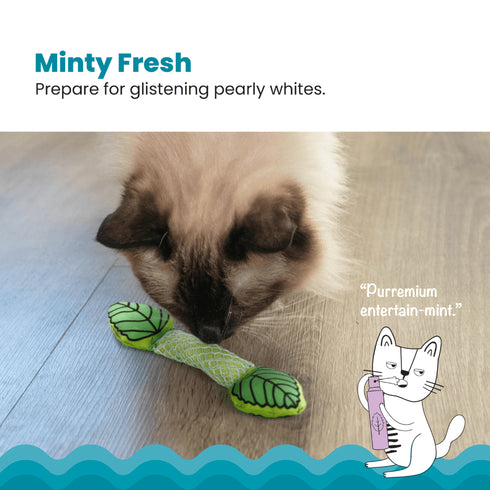 Petstages Fresh Breath Mint Stick Cat Chew Toy
