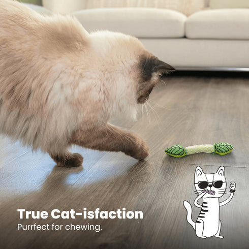 Petstages Fresh Breath Mint Stick Cat Chew Toy