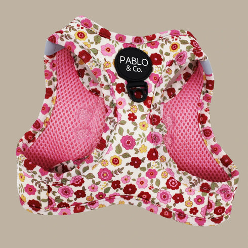 Pablo & Co. PRIMROSE Step In Cat Harness